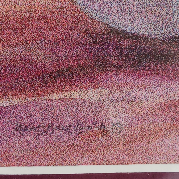 Miss Curiosity Framed Print Robert Boast Cornish - Picture 4 of 6